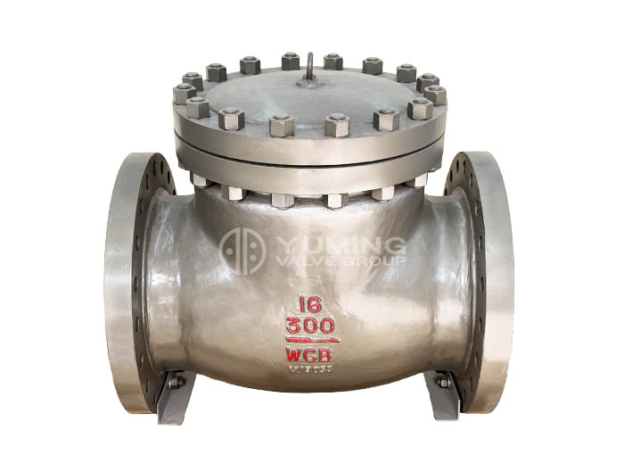 American Standard Check Valve